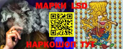 тгк Можга