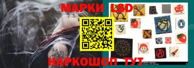 тгк Можга