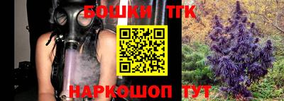 тгк Можга