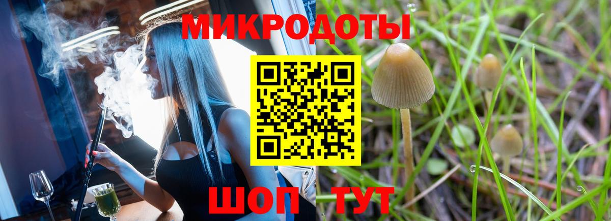 Псилоцибиновые грибы Psilocybe  Галлюциногенные грибы GOLDEN TEACHER  Богородицк  Вход с VPN 
