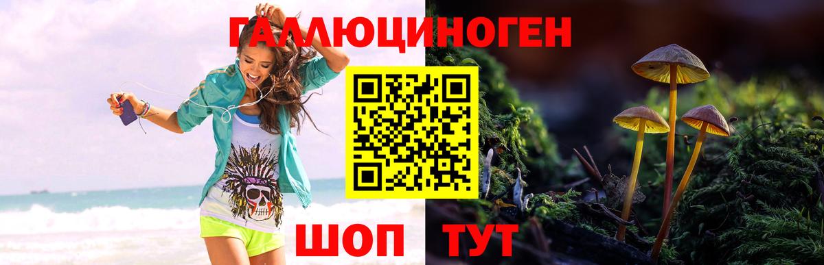 Галлюциногенные грибы Cubensis Богородицк